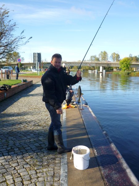 Bild3