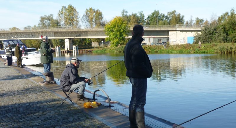 Bild4