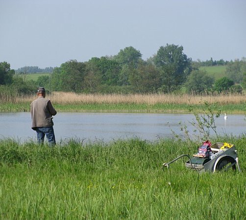 Bild1