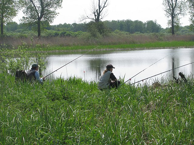 Bild3